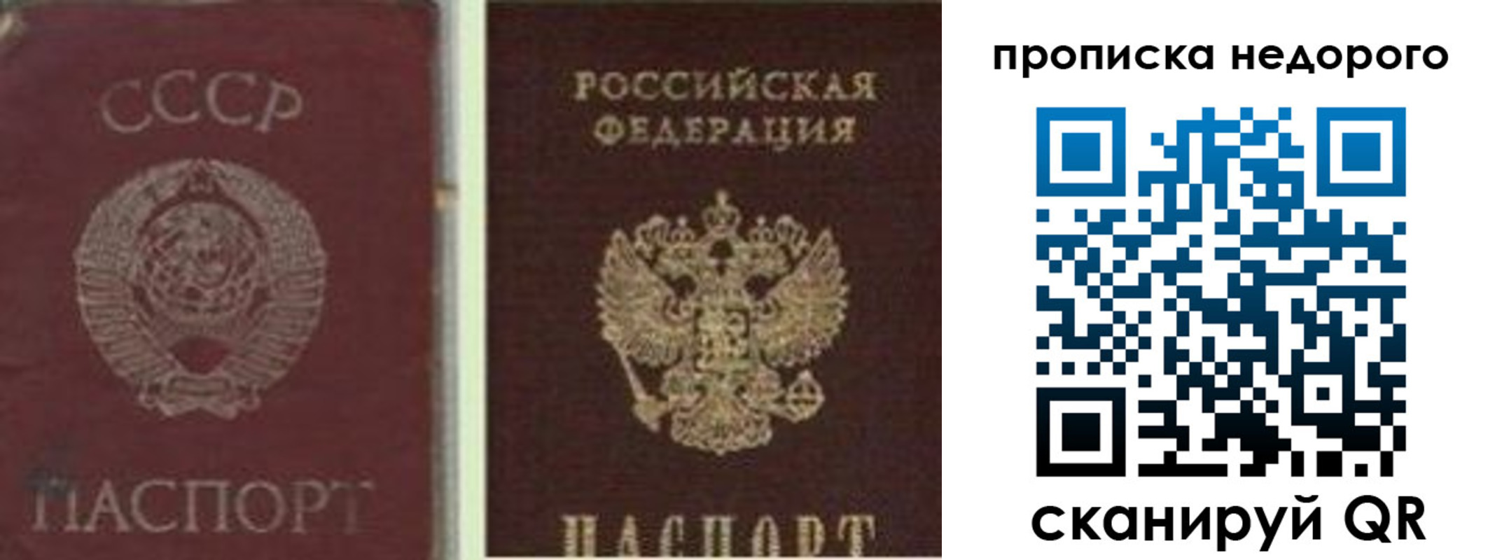 временная регистрация поиск в Краснознаменске